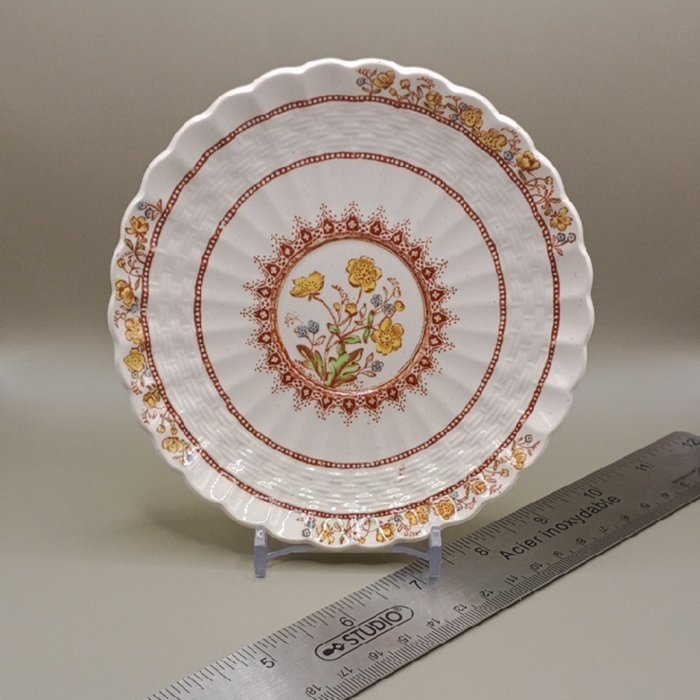 Elegant White and Brown Scalloped Dinnerware Plate